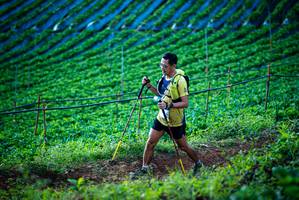 BIB: 
                            <button type="button" onclick="openModal(19160169)" class="btn btn-primary btn-sm float-right btn-popup" data-toggle="modal" data-target=".modal-high-quality">
                        <i class="fas fa-shopping-cart"></i> Add to Cart
                    </button>
                                            <button type="button" onclick="isThisMe(19160169, true)" class="btn btn-success btn-sm float-right btn-popup btn-isme hidden" data-toggle="tooltip" data-placement="bottom" title="นี่คือรูปของคุณใช่ไหม คลิกที่นี่เพื่อเอาเข้าอัลบั้ม">
                        <i class="fas fa-plus"></i> Add to album
                    </button>
                    <button type="button" onclick="isThisMe(19160169, false)" class="btn btn-warning btn-sm float-right btn-popup btn-isnotme hidden">
                        <i class="fas fa-ban"></i> Remove from album
                    </button>